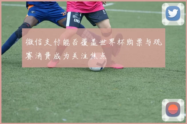 微信支付能否覆盖世界杯购票与观赛消费成为关注焦点