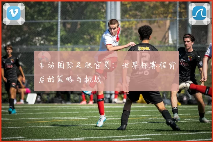 专访国际足联官员：世界杯赛程背后的策略与挑战