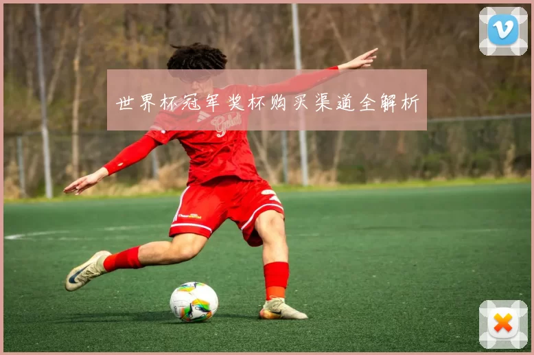 世界杯冠军奖杯购买渠道全解析