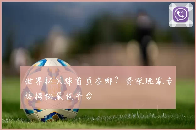 世界杯买球首页在哪？资深玩家专访揭秘最佳平台