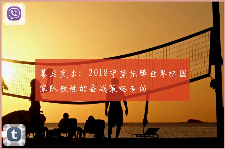 幕后直击：2018守望先锋世界杯国家队教练的备战策略专访