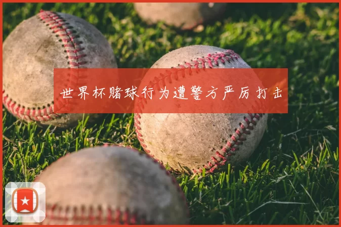 世界杯赌球行为遭警方严厉打击
