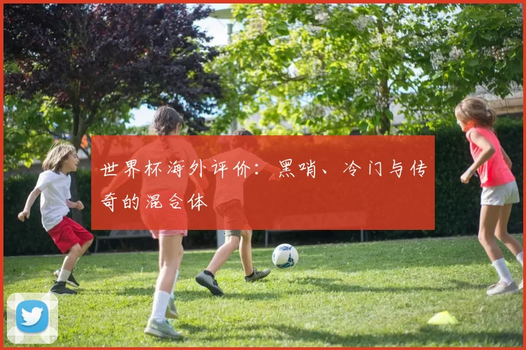 世界杯海外评价：黑哨、冷门与传奇的混合体