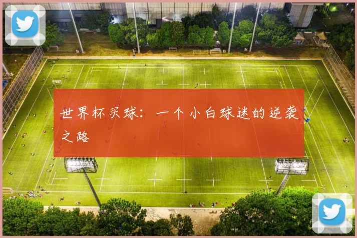 世界杯买球:一个小白球迷的逆袭之路