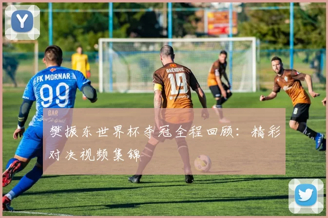 樊振东世界杯夺冠全程回顾:精彩对决视频集锦