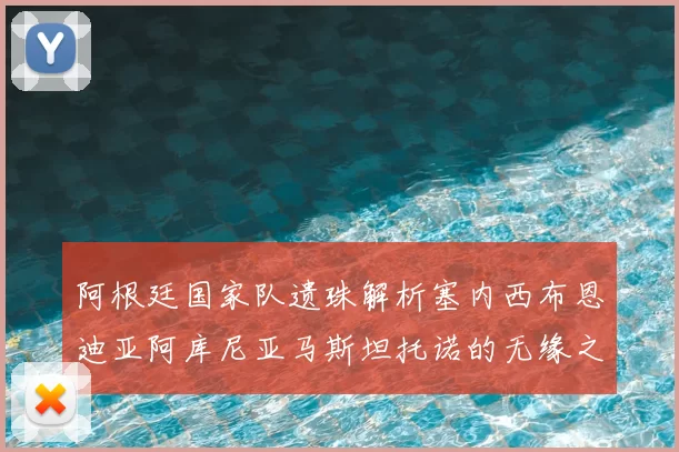 阿根廷国家队遗珠解析塞内西布恩迪亚阿库尼亚马斯坦托诺的无缘之路