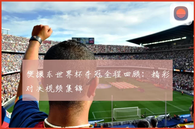 樊振东世界杯夺冠全程回顾:精彩对决视频集锦