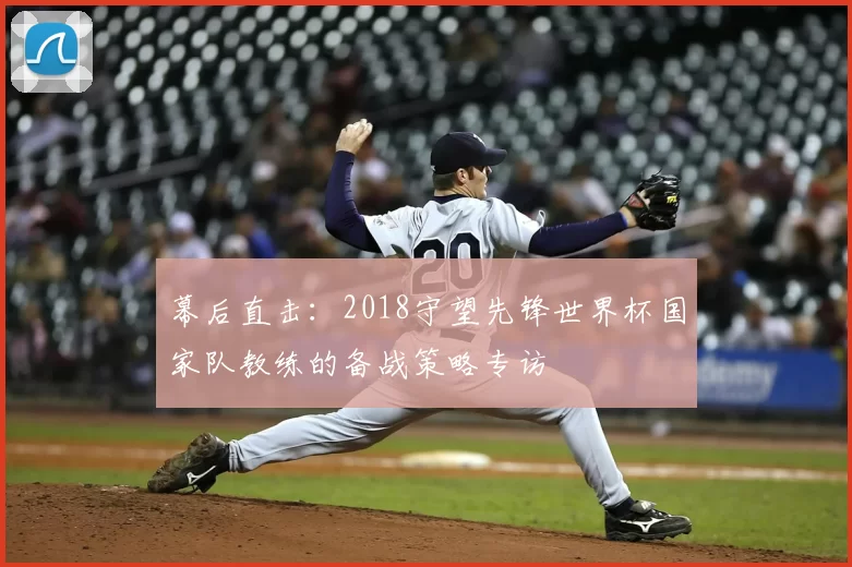 幕后直击：2018守望先锋世界杯国家队教练的备战策略专访