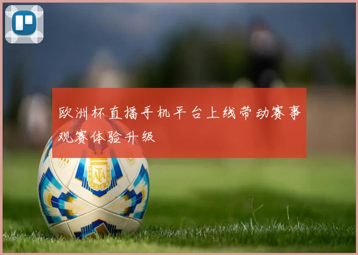 欧洲杯直播手机平台上线带动赛事观赛体验升级